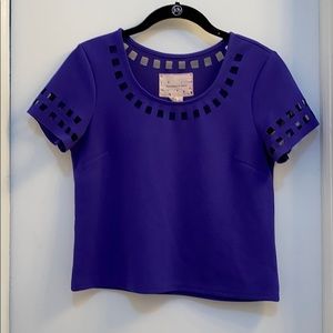 Urban Outfitters Blue Short Sleeve Crop Top Size S